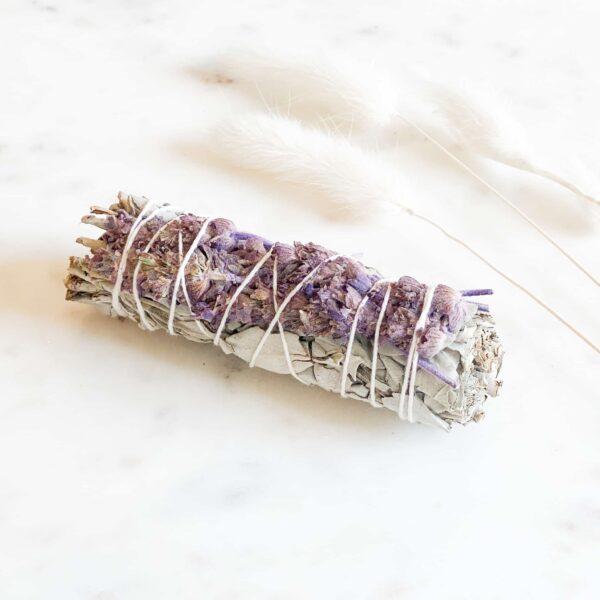 Salvie m/lavendel 10 cm